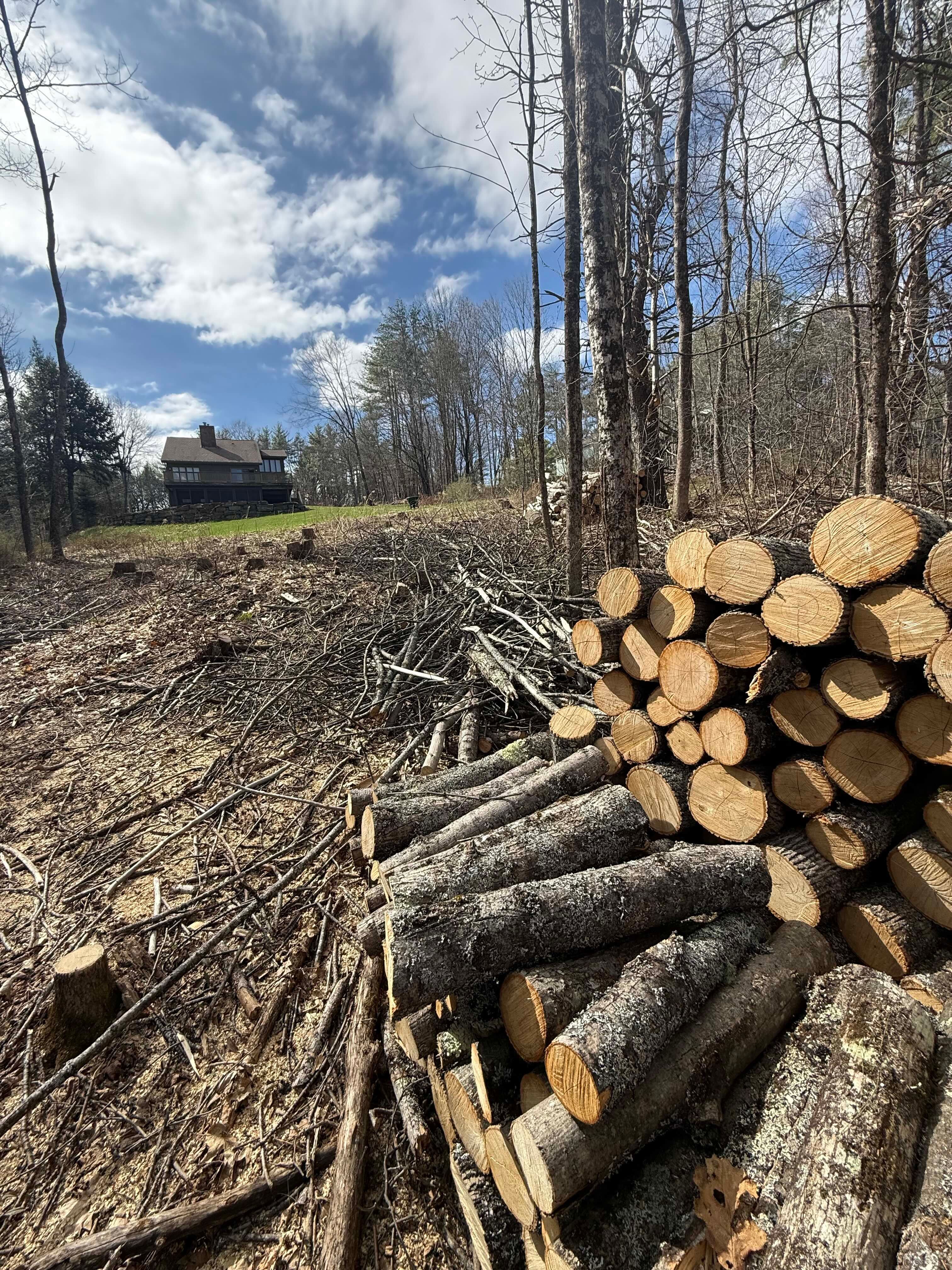a photo with a stack of wood and a house up on a hill.