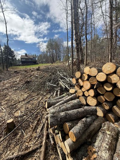 a photo with a stack of wood and a house up on a hill.